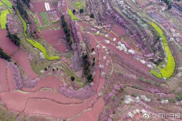  野花韓國(guó)視頻免費(fèi)觀看神馬