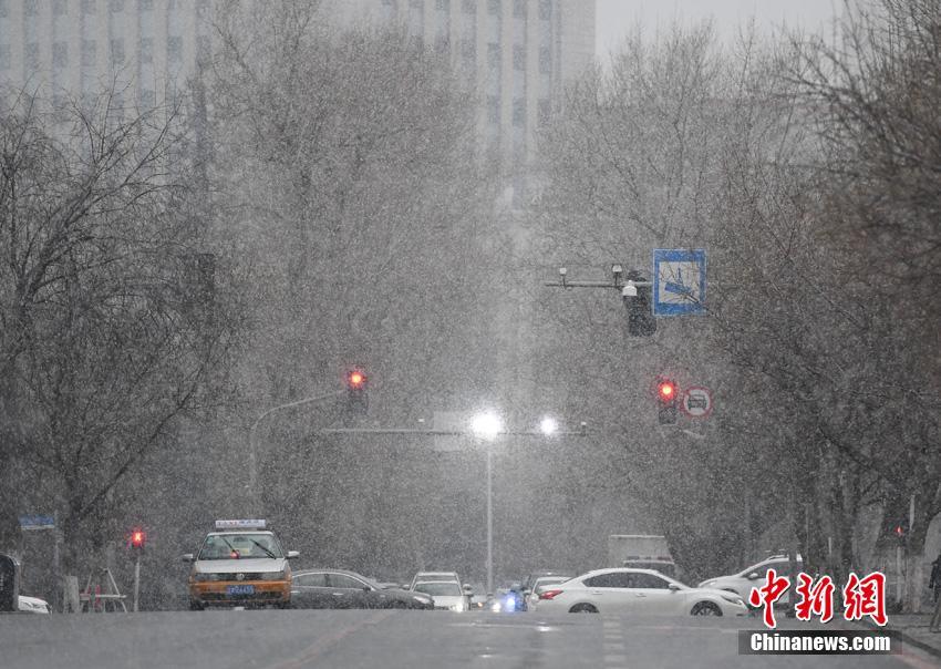  林海雪原電影