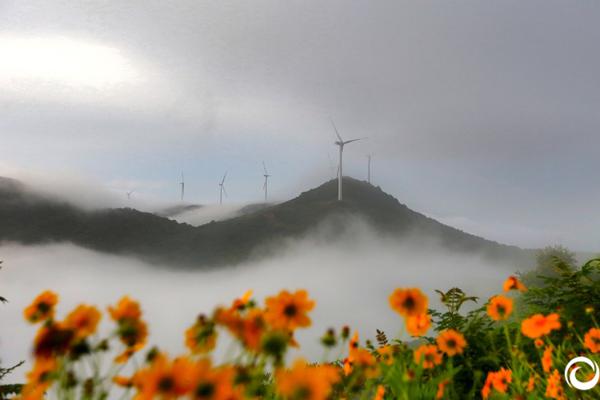 暗里著迷電視劇免費觀看