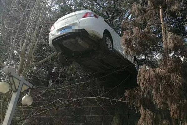  遙遠的距離電視劇全集免費觀看