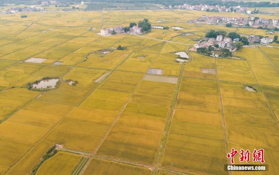  電視劇小麥進(jìn)城