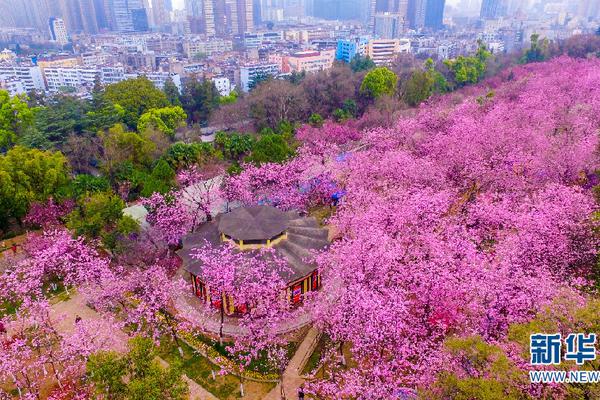 鐵拳無(wú)敵楊芊芊免費(fèi)觀看