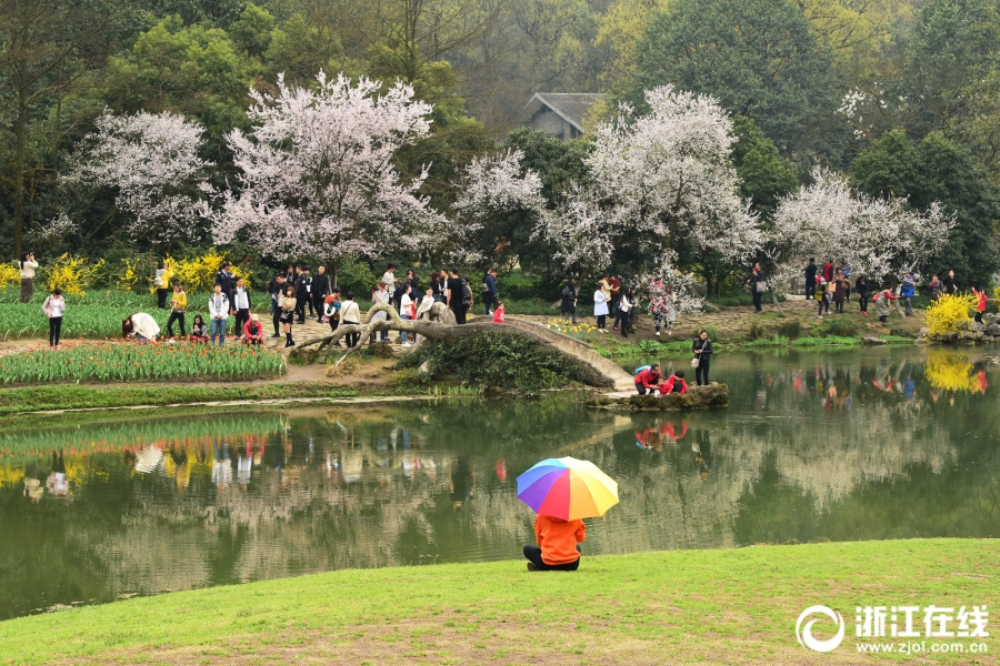 斯蒂芬·卓博斯基