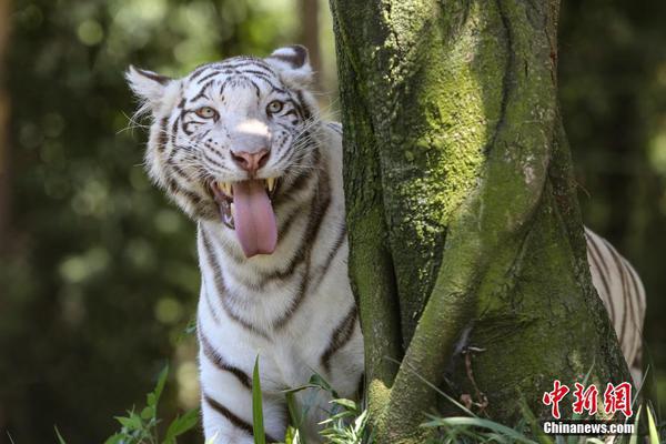  李敏鎬 城市獵人