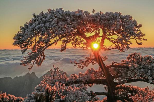  兇間雪山