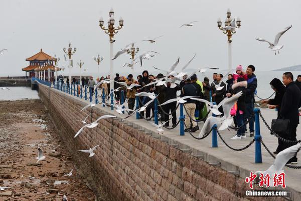 王子變青蛙電視劇