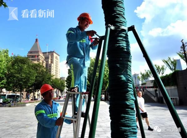 山海情在線觀看