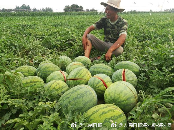 不完美的受害人電視劇免費(fèi)觀看全集