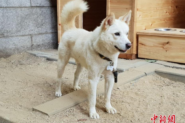 唐山大地震 電視劇