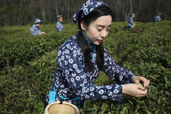 熱砂的樂園