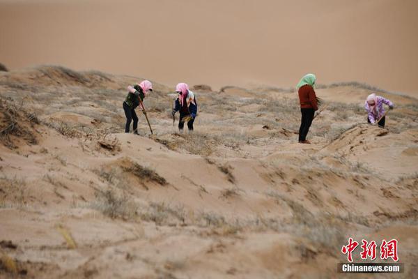 懸崖上的野餐