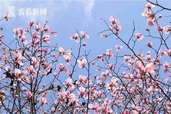 像霧像雨又像風(fēng)電視劇