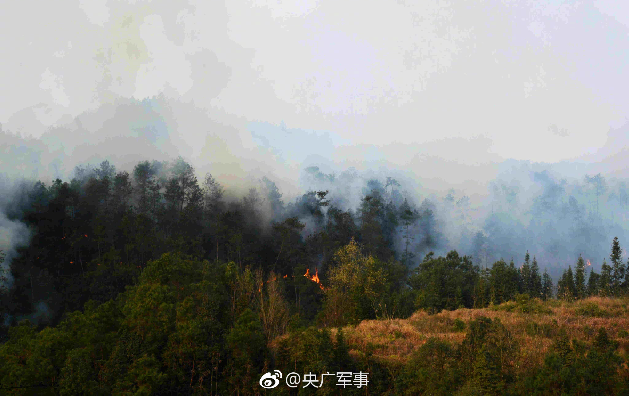 國產(chǎn)天美傳媒一起又看流星雨