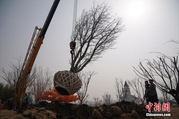 背著善哉跑電視劇免費觀看