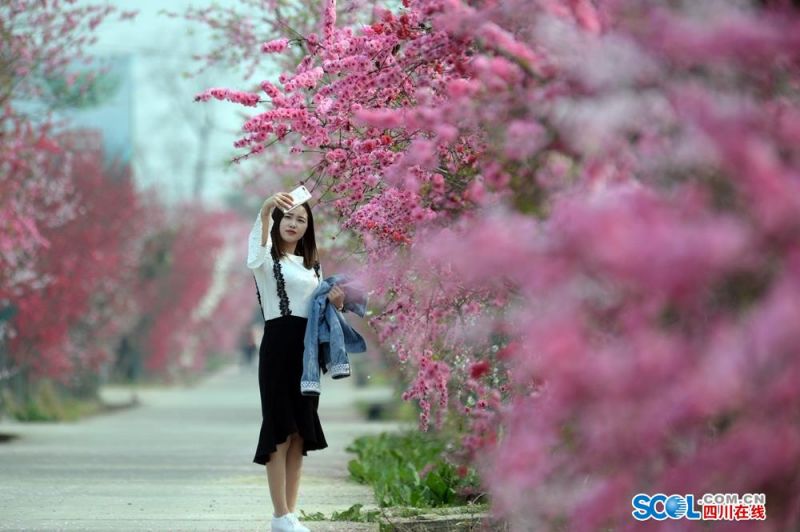 跳進地理書的旅行第三季