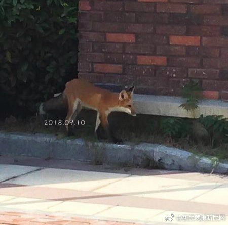 電視劇狙擊手