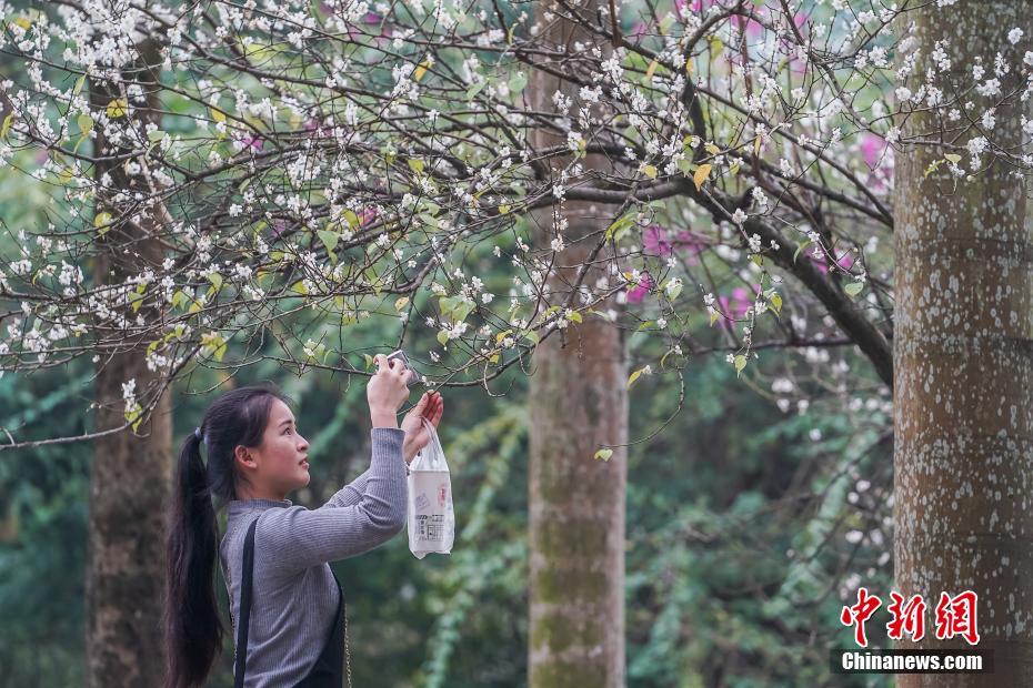 仙劍奇?zhèn)b傳4電視劇免費觀看