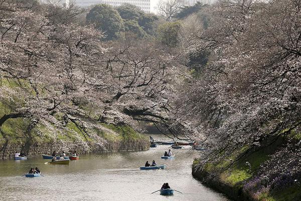 杰伊·卡拉斯