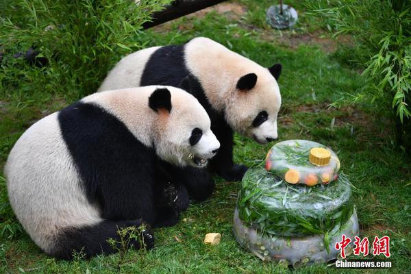 道格拉斯·麥克格蘭斯