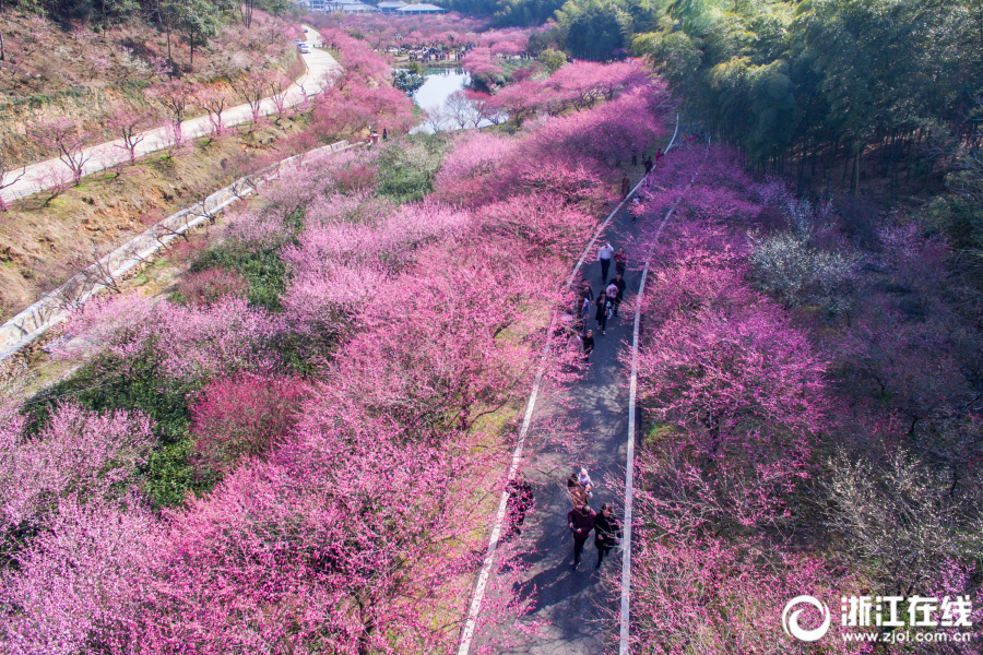 歡迎來到東莫村