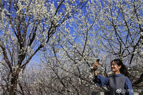  二龍湖村暖花開(kāi)電視劇免費(fèi)觀看