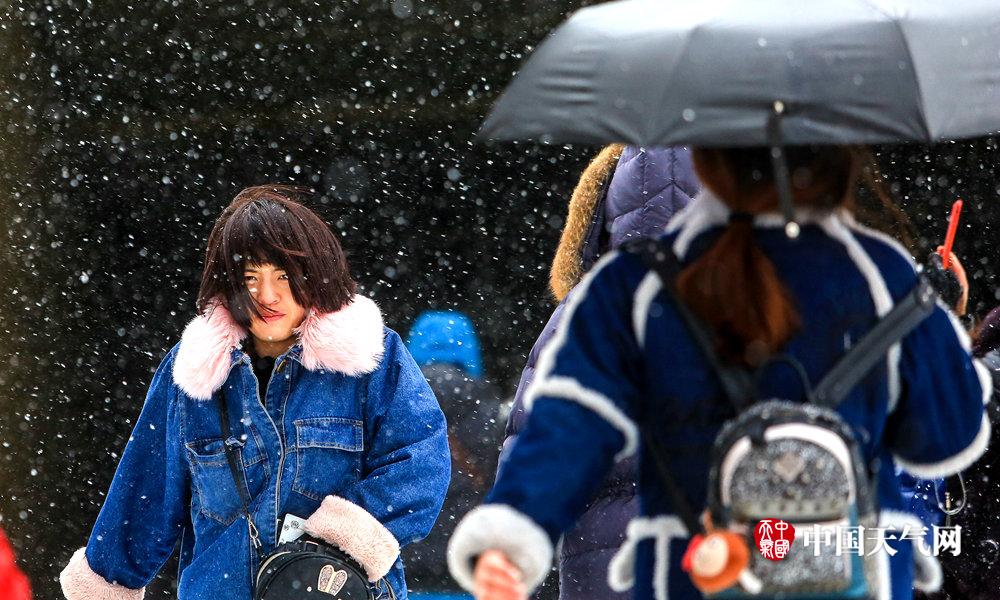  劍雨在線播放完整版高清