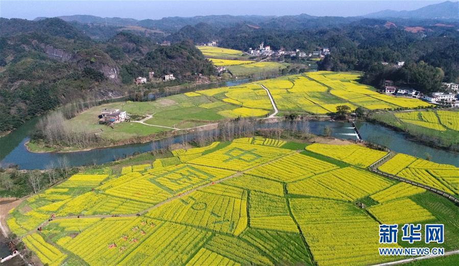 電影地道戰(zhàn)