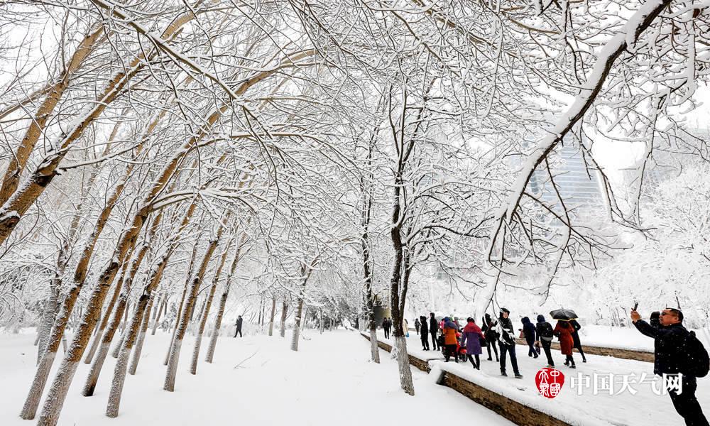  雪狼