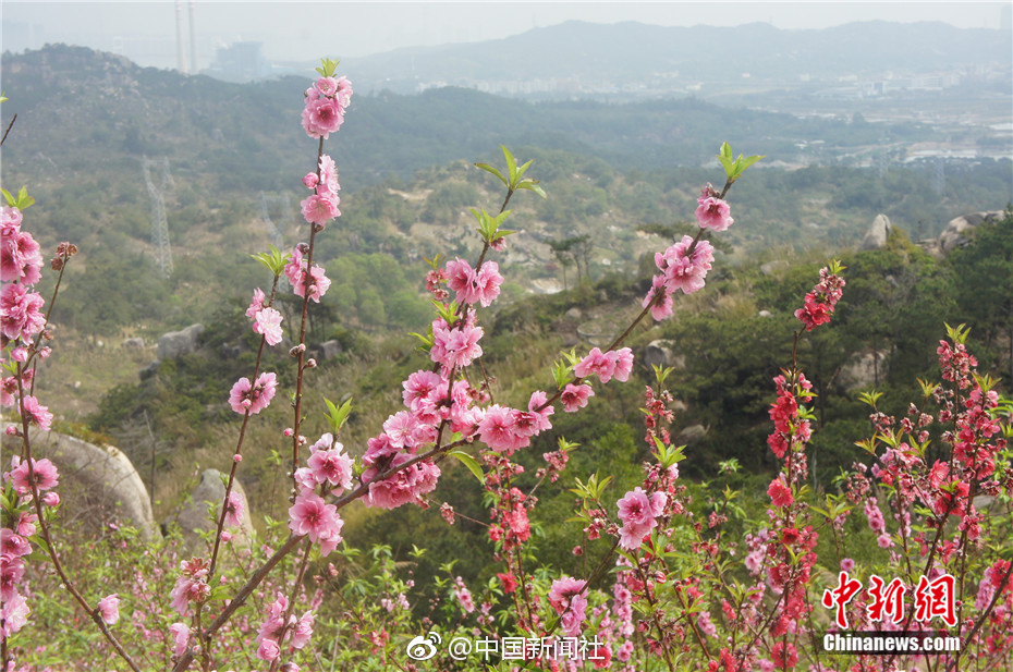  小悟空