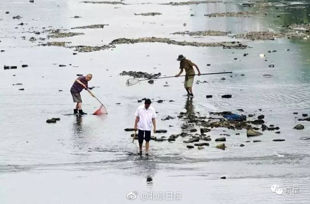  花開有時(shí)頹靡無聲電視劇