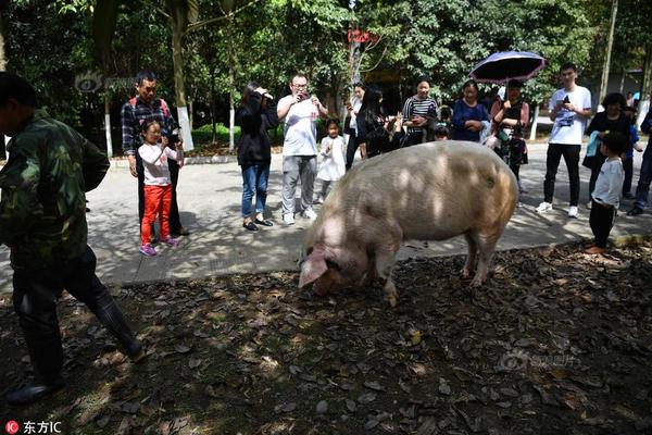 靈與肉在線觀看