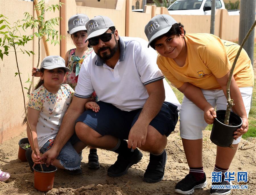  秋菊打官司