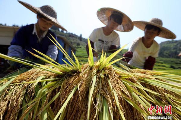 我在等你回家