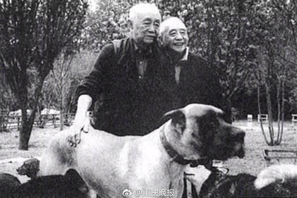  法國羅曼史