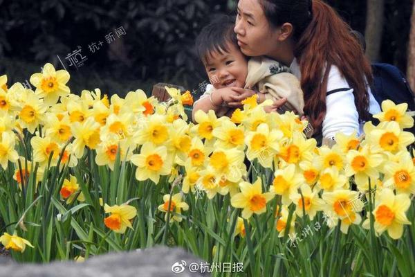 地獄少女高清免費看