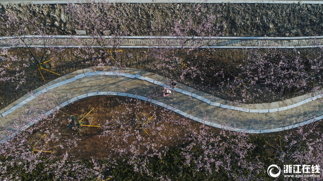 釜山行2在線觀看