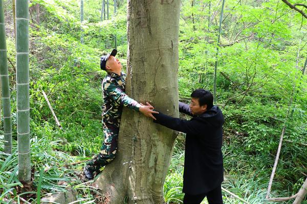  這個是僵尸嗎?