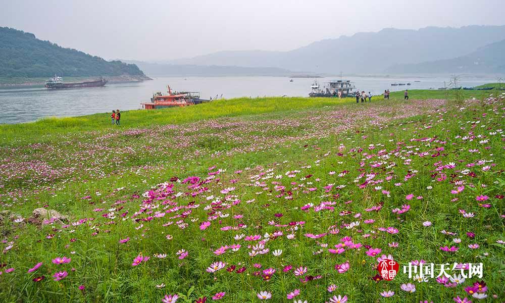 完美世界劇場(chǎng)版免費(fèi)高清