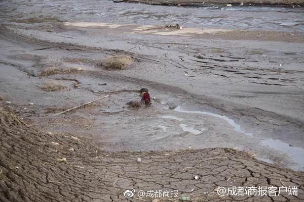 馬庫斯·尼斯佩爾